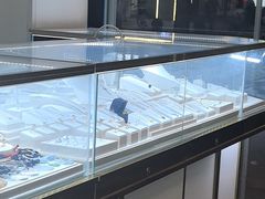 -鑫羽黄金首饰奢侈品回收鉴定