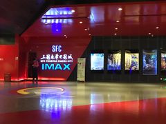 -SFC上影影城(港汇永华IMAX激光店)