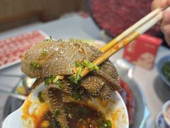 -渝大龙重庆火锅(温泉月亮湾店)