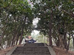 -峙山公园