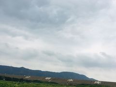 -光明小镇欢乐田园