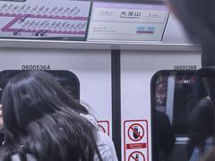 -大龙山(地铁站)