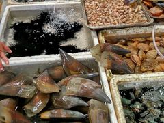 -板桥海鲜广场(文明东店)