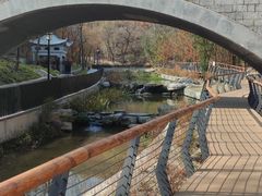 -白水寺森林公园