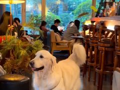 -咖法森林·咖啡  酒吧(天河店)