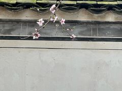 -新安江山水画廊风景区