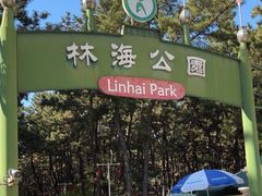 -林海公园
