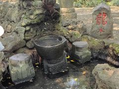 -海口火山口国家地质公园