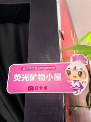 -菜百首饰店(总店)