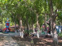 -长白岛森林公园