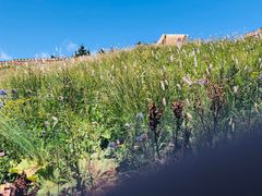 -白草畔自然风景区