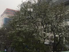 -哈根达斯(石家庄北国店)