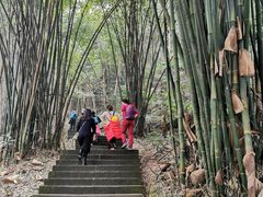 -凤栖山