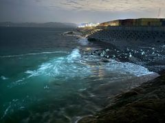 -大梅沙海滨公园