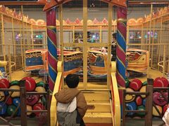 -南宫五洲植物乐园