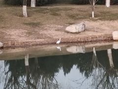 -灞柳驿酒店(香湖湾地铁站店)