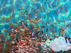 -杭州开元森泊度假乐园