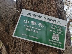 -头陀岭景区