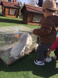 -萌宠亲子动物乐园(槐房万达店)