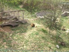 -石家庄市动物园