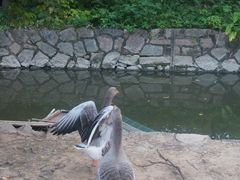 -福建鲤鱼洲酒店