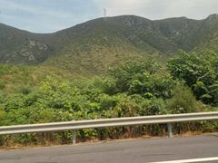 -鹏城驾校·学车·陪驾(宝安店)