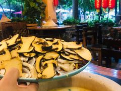 云南野生菌-抚仙湖生态石锅鱼野生菌(告庄店)