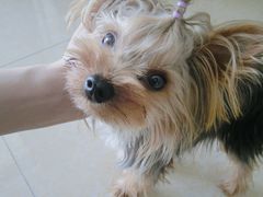 -康乐宝动物医院