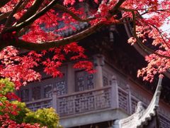 -龙华寺