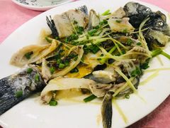 鲫鱼粥一鱼两味-民记食店(沙溪店)