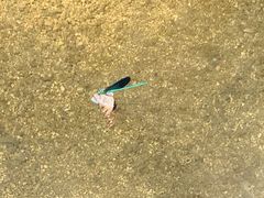 -碓臼峪自然风景区