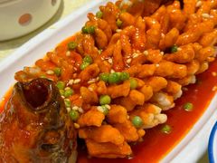 -新侨小馆(东直门北小街店)