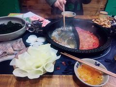 -渝大龙重庆火锅(温泉月亮湾店)