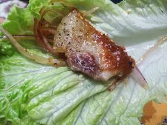 -韩本家韩国料理餐厅(大东街店)