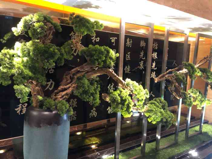 金色印象影院式足体养生(加州店)