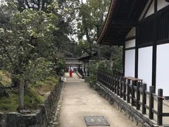 -奈良公园