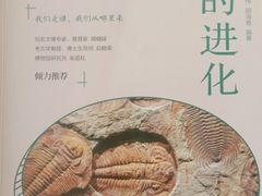 -天津图书馆(复康路馆)