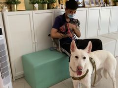 -瑞鹏宠物医院·骨科·猫科·内科(第一中心)