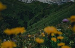 -WAVE SODA摄影工作室