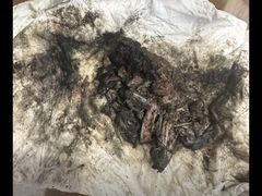 -御面斋精品面馆