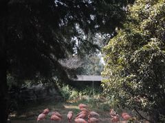 -云南野生动物园