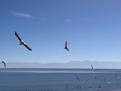 -青海湖国家重点风景名胜区