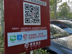 -合肥滨湖国家森林公园