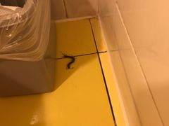 -如家酒店·neo(南京夫子庙店)