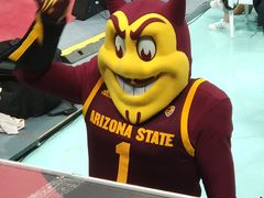 -苏州高新区文体中心体育馆