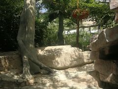 -鞍山岫岩沟汤温泉