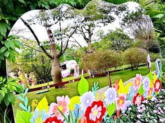 -云溪植物园