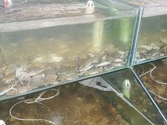 -海岸风情蒸汽海鲜自助餐厅(家宴金手勺店)