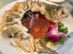 -博雅渔港·融合菜(维也纳国际大酒店)