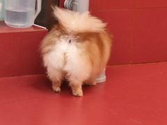 -和它·交个朋友·狗咖猫咖(爱琴海店)